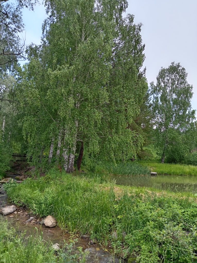 Продаётся дом в Топихе
