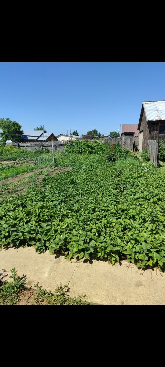 Продам дом 11 микрорайон