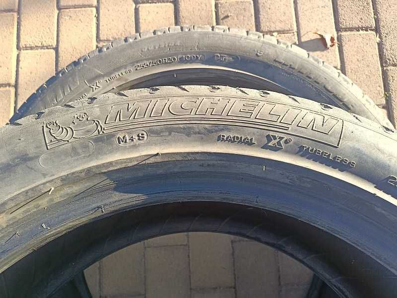 Шины 255/50 R20 - "Michelin Latitude Diamaris" (Италия), летние.