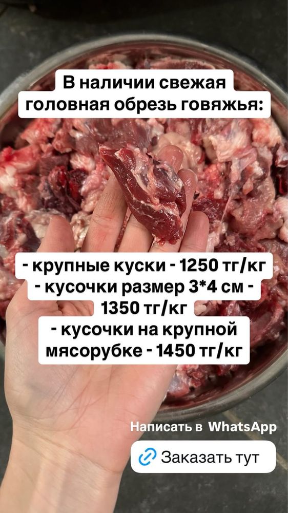 Головная обрезь для собак