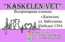 Ветеринарная клиника в г. Каскелен