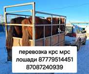 Коневозка,  газ 53 самосвал услуги