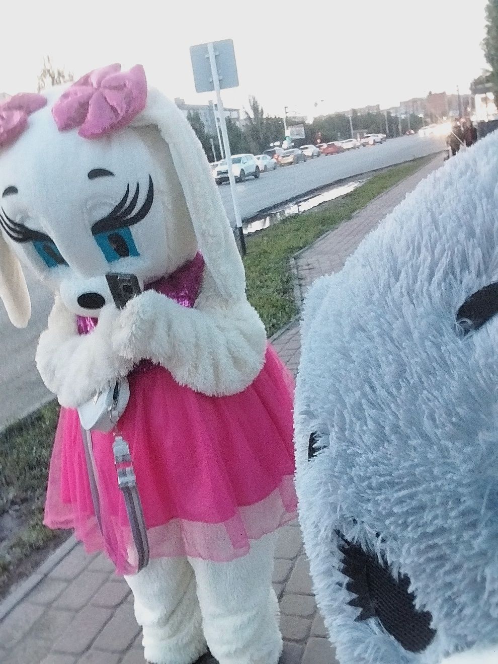 Аниматор,медведь и заяц