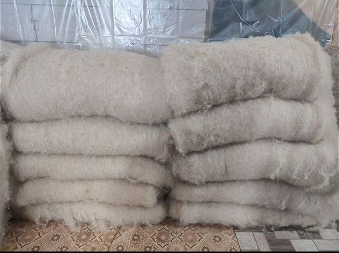 Продам овечью шерсть