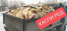 Продам дрова газель, пирожковоз каспи ред