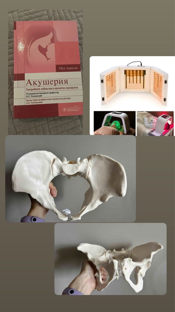 Продам книгу Акушерство
