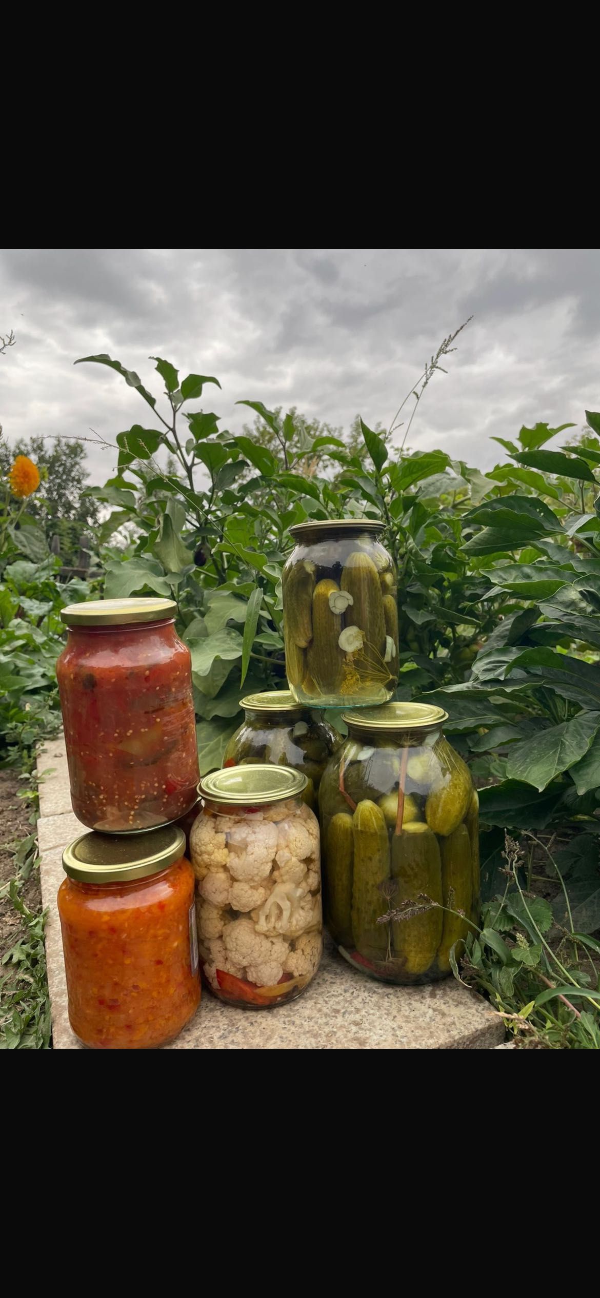 Домашние соленья