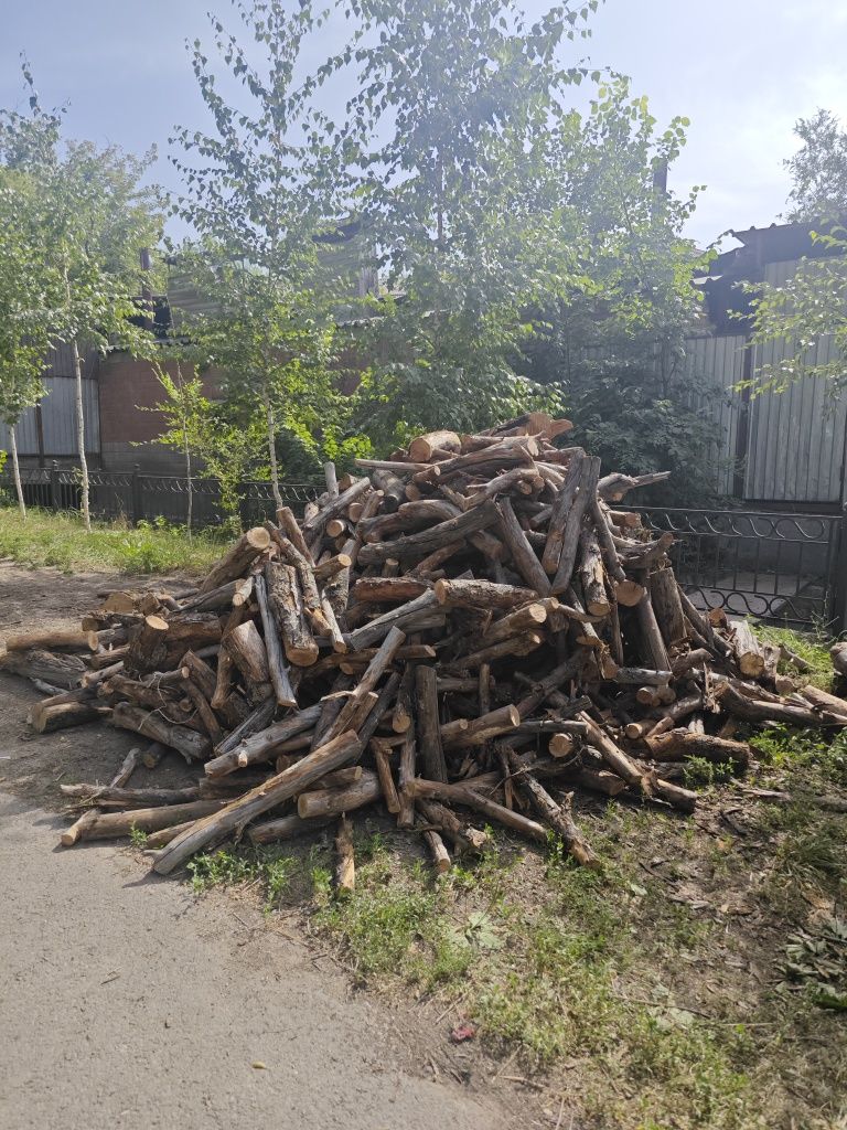 Продам дрова яблоня