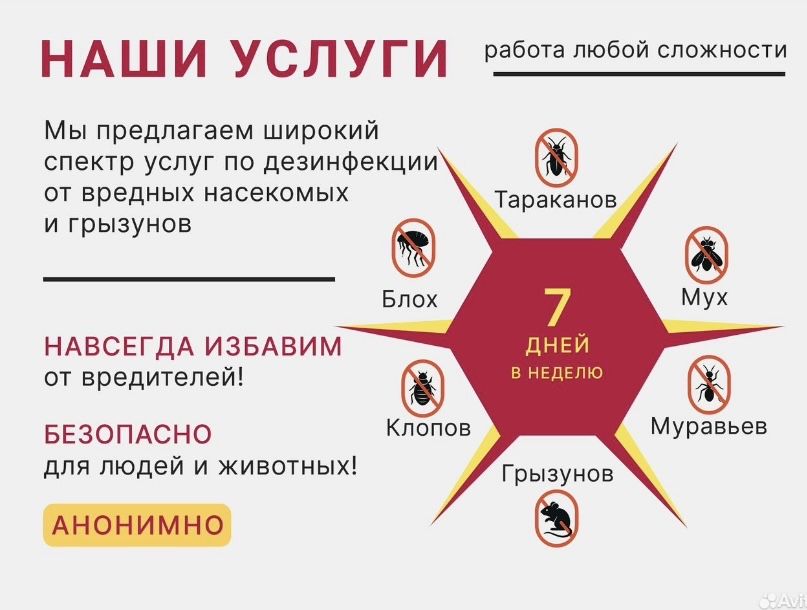 Дезинфекция обработка от тараканов, клещей, клопов, муравьев, блох,