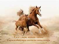 Саржалдын кымызы