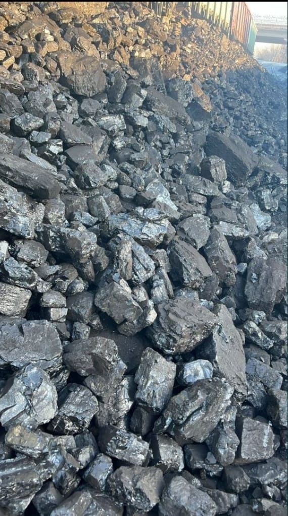 Шубаркуль СОРТ отличного качества