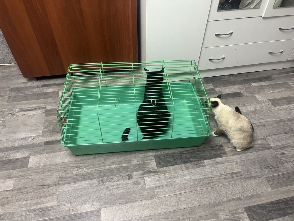 Клетка для кролика