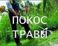 Косем траву Триммером