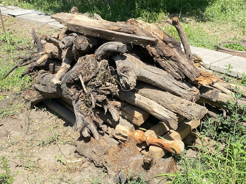 Продам дрова сухие