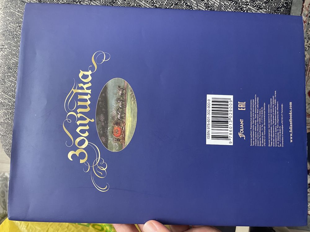 Золушка новая книга
