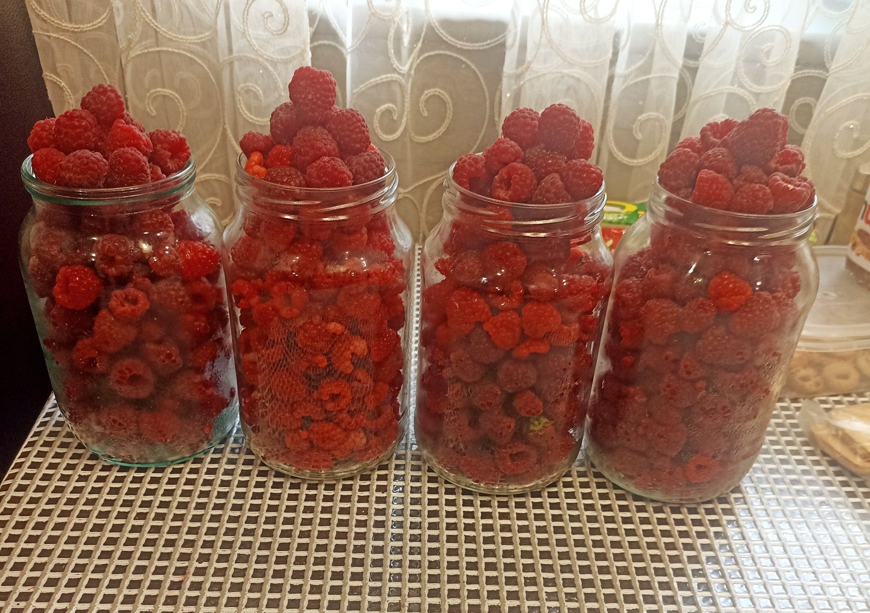 Малина домашняя пришахтинск 2500