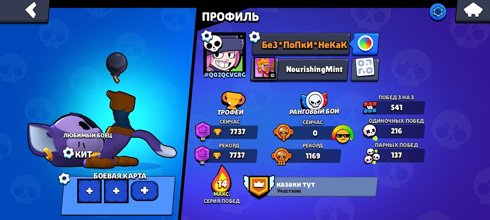 Аккаунт олдавские очень много скинов