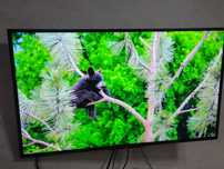 Телевизор Sony Bravia 2018 года