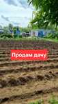 Продаётся дача Старый Мясокомбинат
