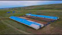 Продам Крестянское Хозяйство