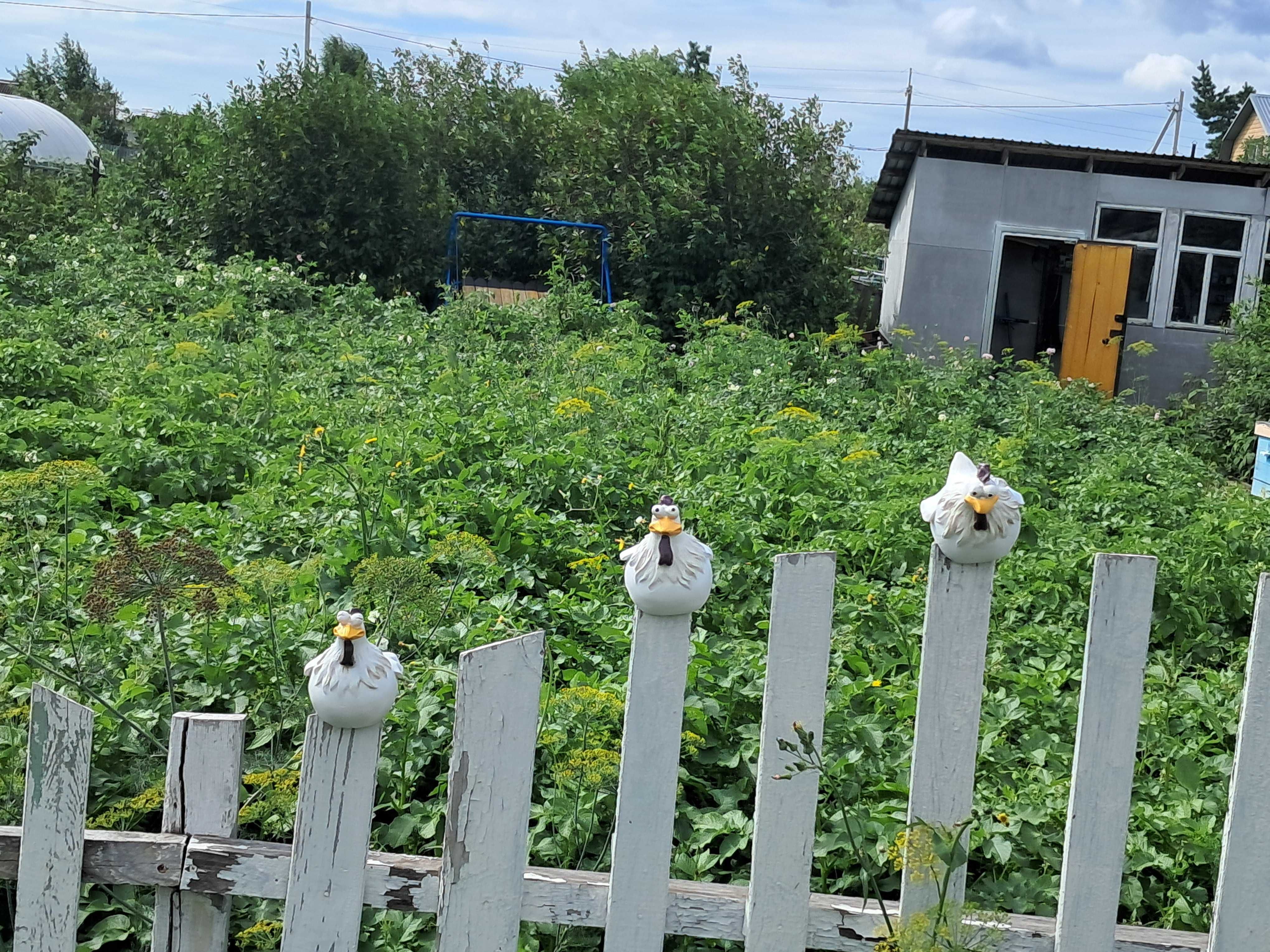 Продам дачу в Новопавловке