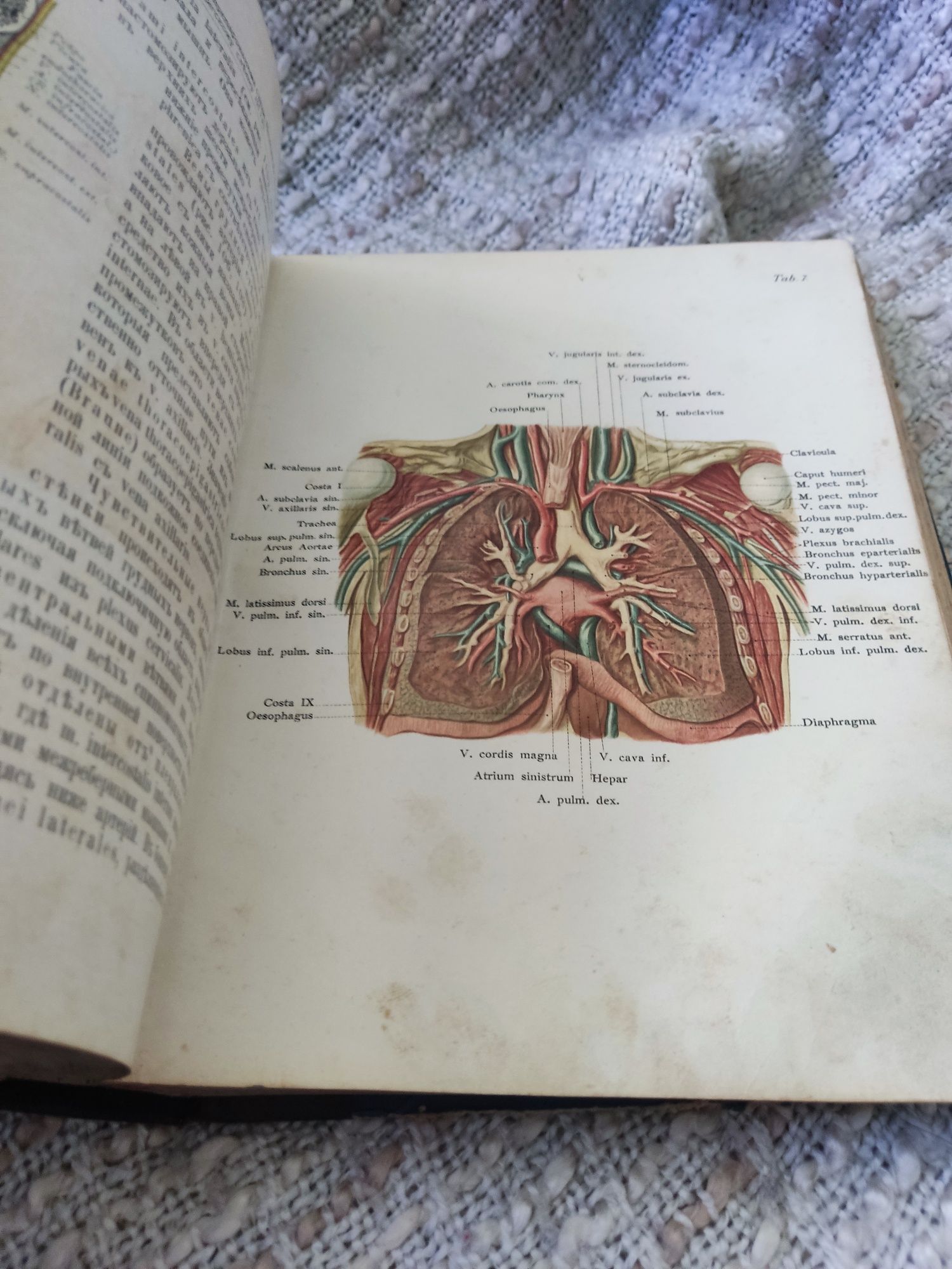 Книга О.Шульце Атлас и основы топографической,прикладной анатомии 1914