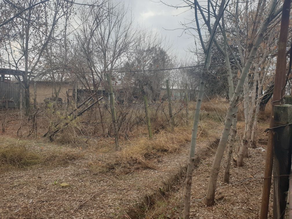 Уй сатылады алгабас ауылында