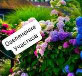 Озеленение, Насаждение,Уход