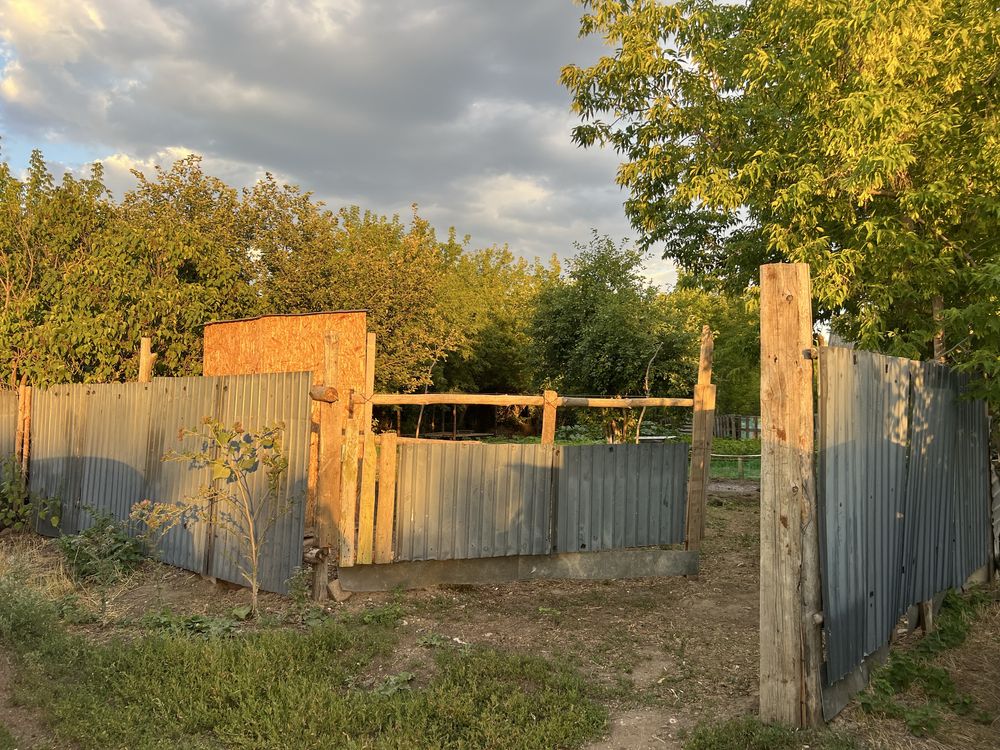 Продам дачу, Дача сатам