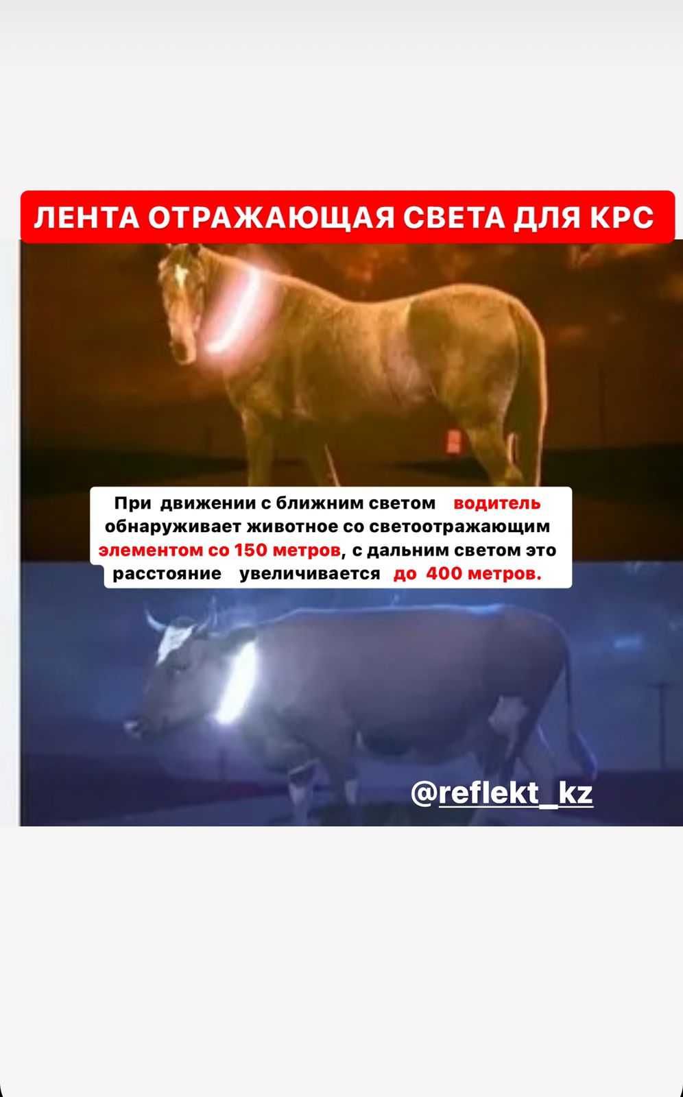 Ошейник со светоотражающей лентой Качественная и доступная цена!
