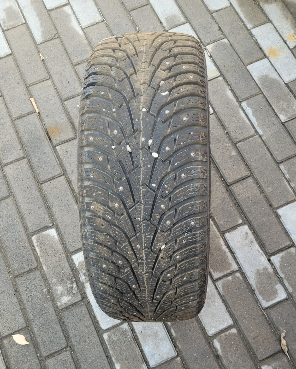 Шины зимние шипованные Maxxis