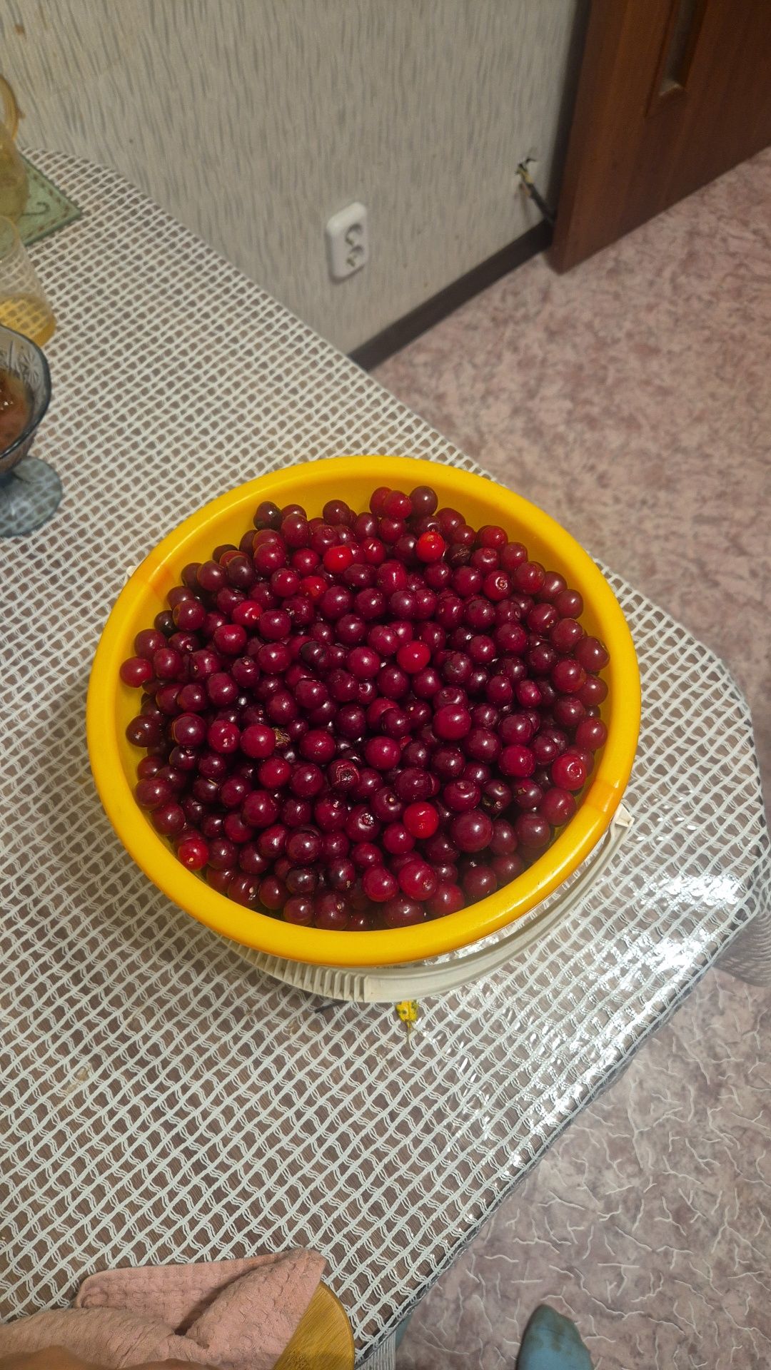 Продам вишню 5000