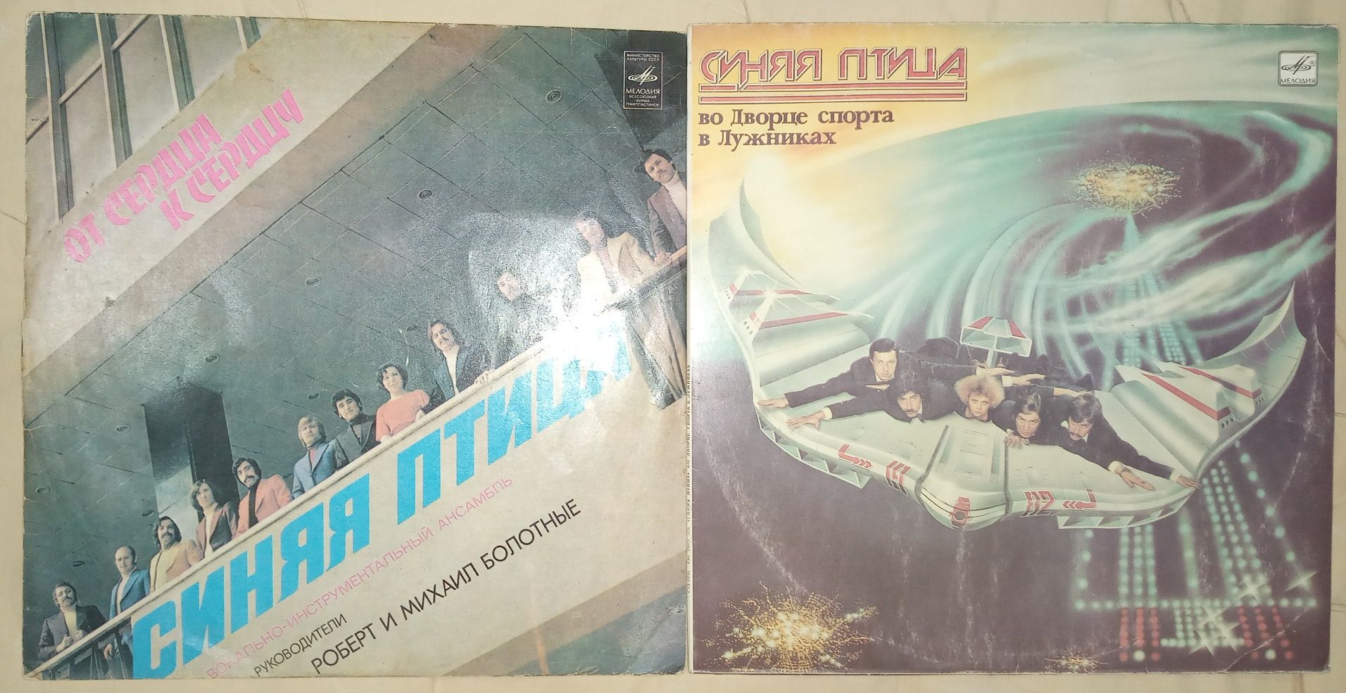 Виниловые пластинки
