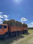 Продам сено в рулонах