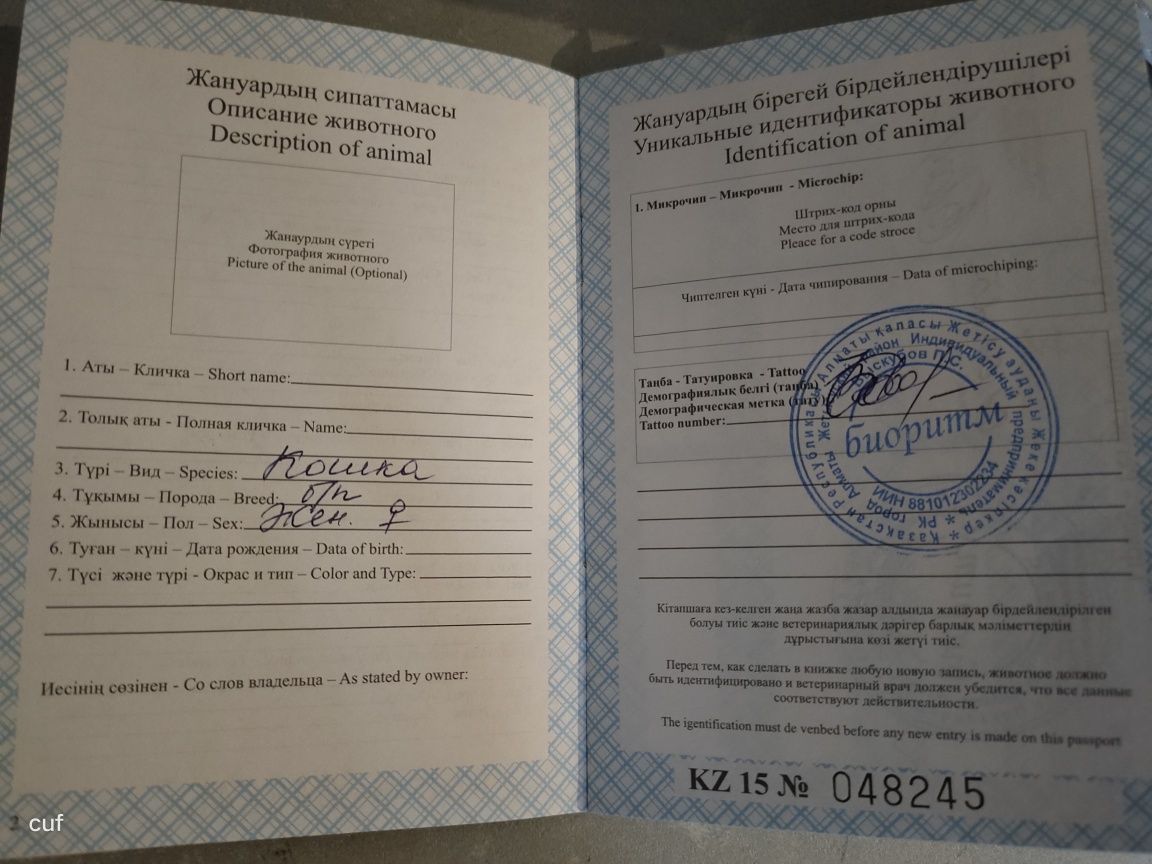 Девочка в добрые руки