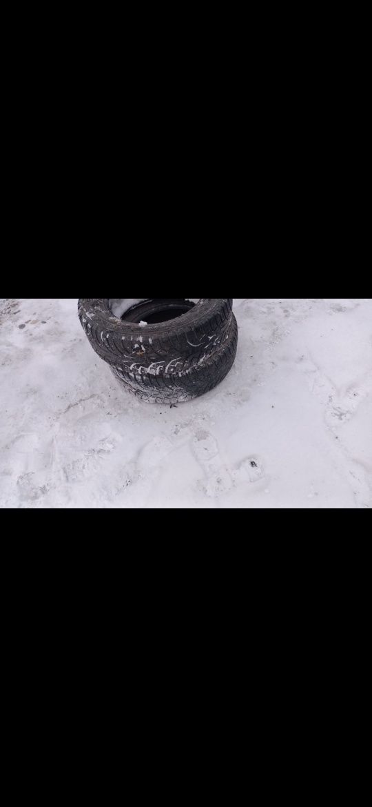 Покрышка.       .