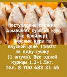 Поступление свежих домашних суповых кур (не бройлер)