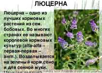 Ищу инвестора ( партнера )