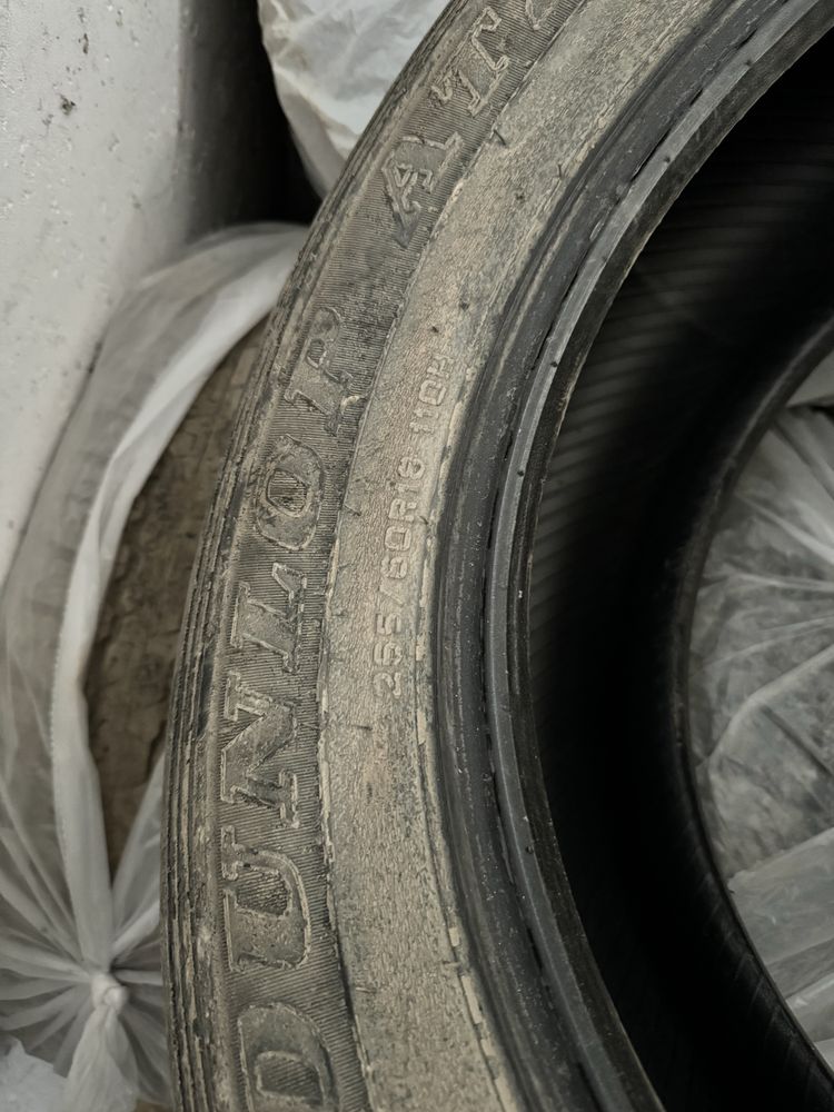 Летние шины Dunlop