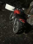 Racer magnum 250 красный торг есть
