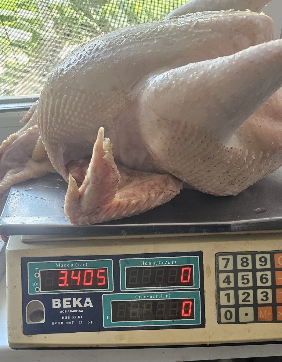 Мясо бройлера домашнего