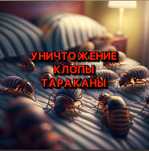 ДЕЗИНСЕКЦИЯ клопы тараканы