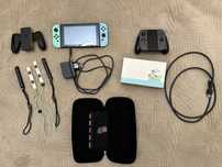 Nintendo Switch (Animal Crossing)
