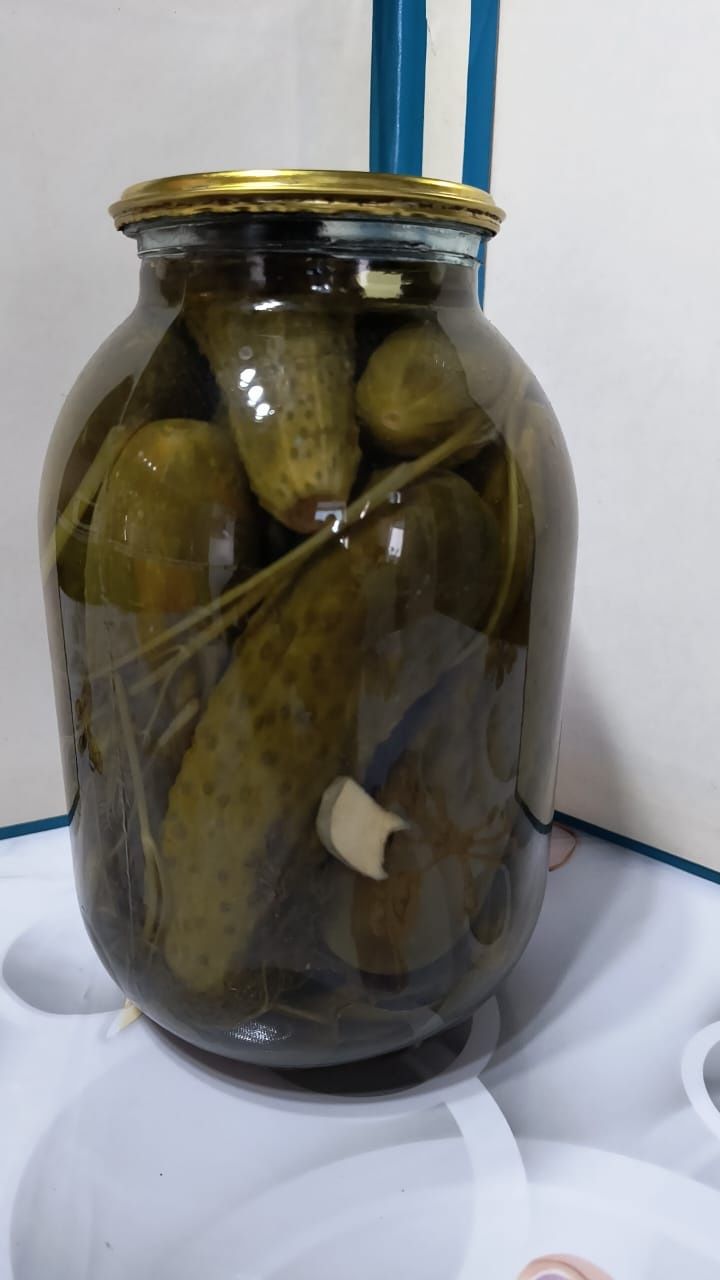 Домашние  саленья