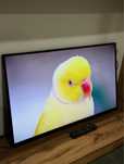 телевизор Panasonik TX-40ESR500 •Рассрочка на 2 года• Актив Маркет