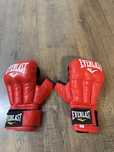Перчатки для рукопашного боя EVERLAST