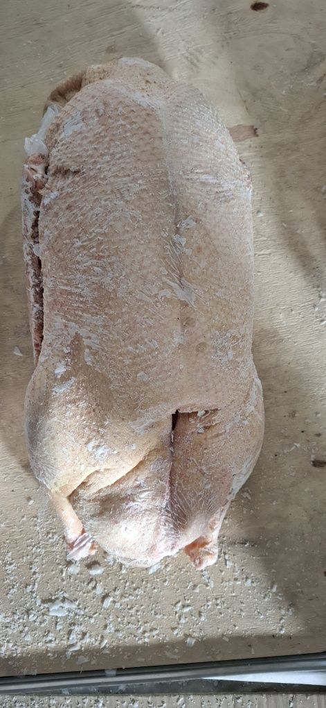 Продам домашний замороженные гусь утка
