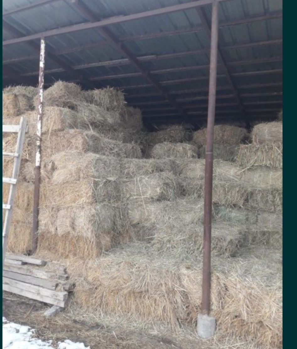 Продам сено отличное разнотравье