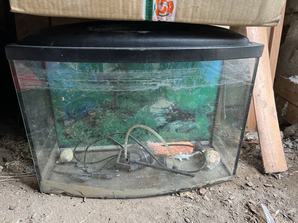 Продам платья детские.