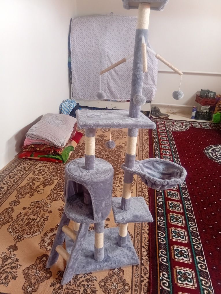Мысықтың үйшігі.Домик для кошки..